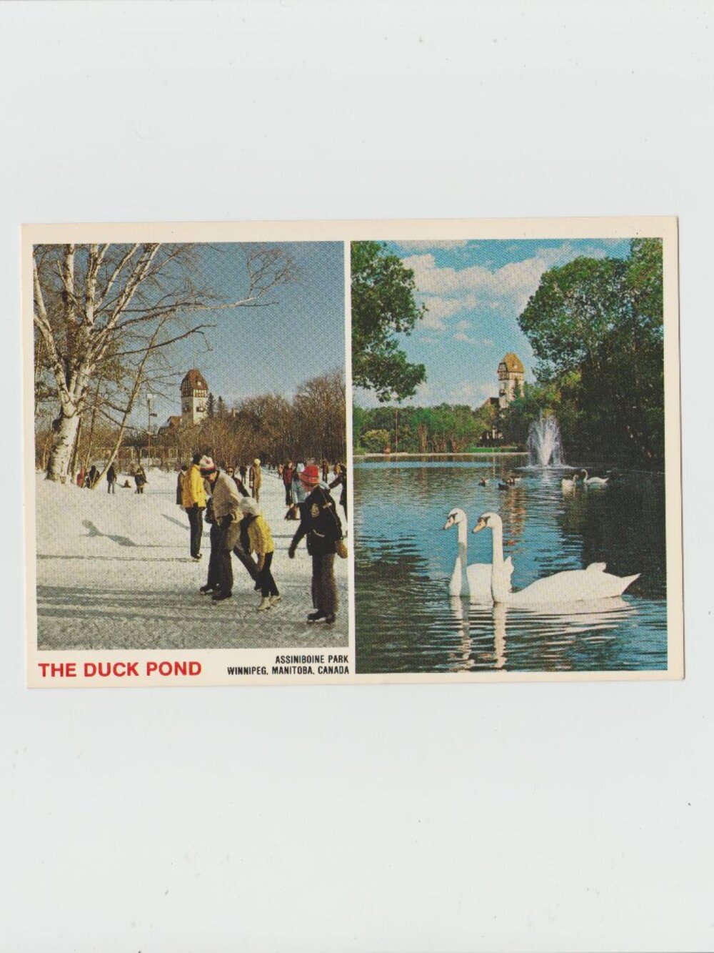 The Duck Pond, Assiniboine Park Winnipeg, Manitoba, Canada